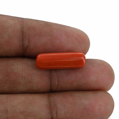 Red Coral (Moonga) - 7.82 Carat