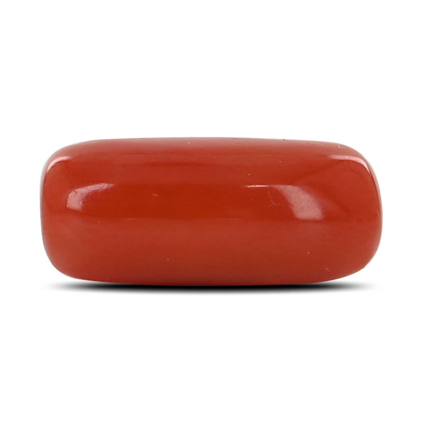 Red Coral (Moonga) - 6.83 Carat