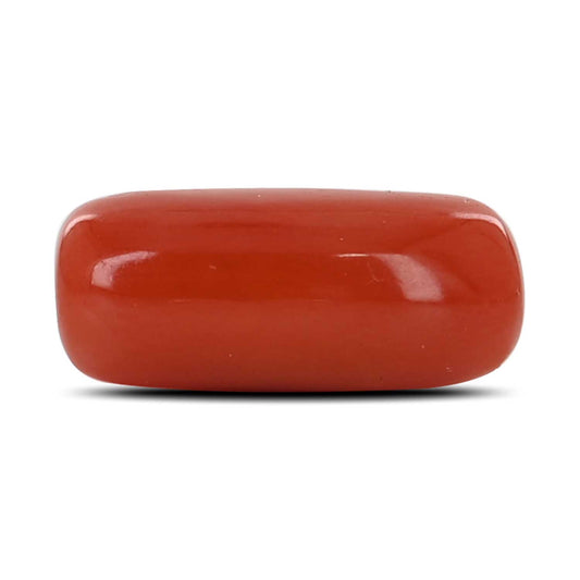 Red Coral (Moonga) - 6.83 Carat