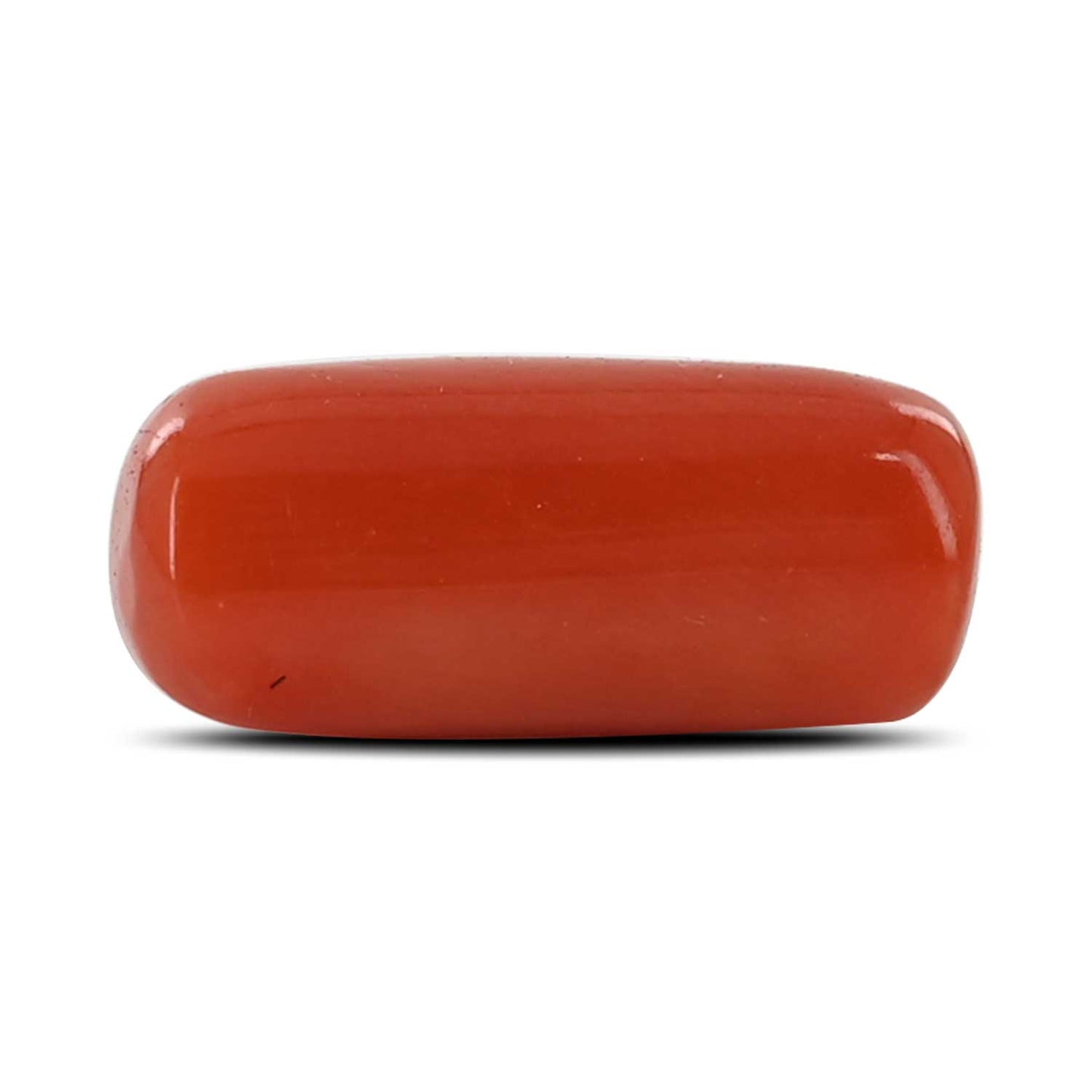 Red Coral (Moonga) - 6.83 Carat