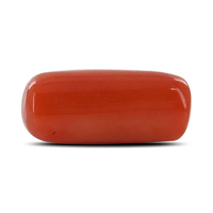 Red Coral (Moonga) - 6.83 Carat