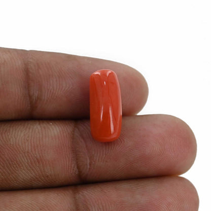 Red Coral (Moonga) - 6.83 Carat