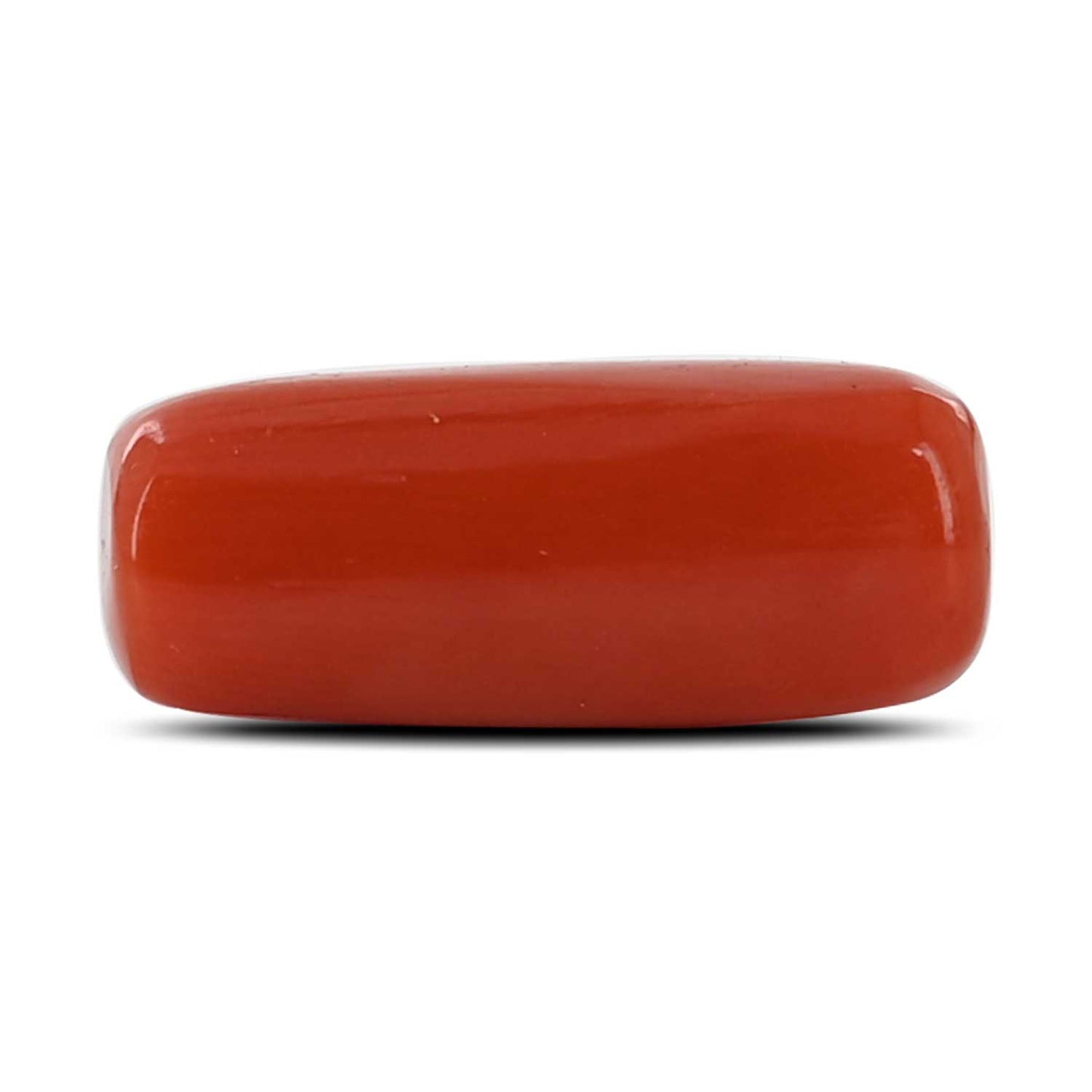 Red Coral (Moonga) - 7.66 Carat