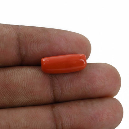 Red Coral (Moonga) - 7.66 Carat