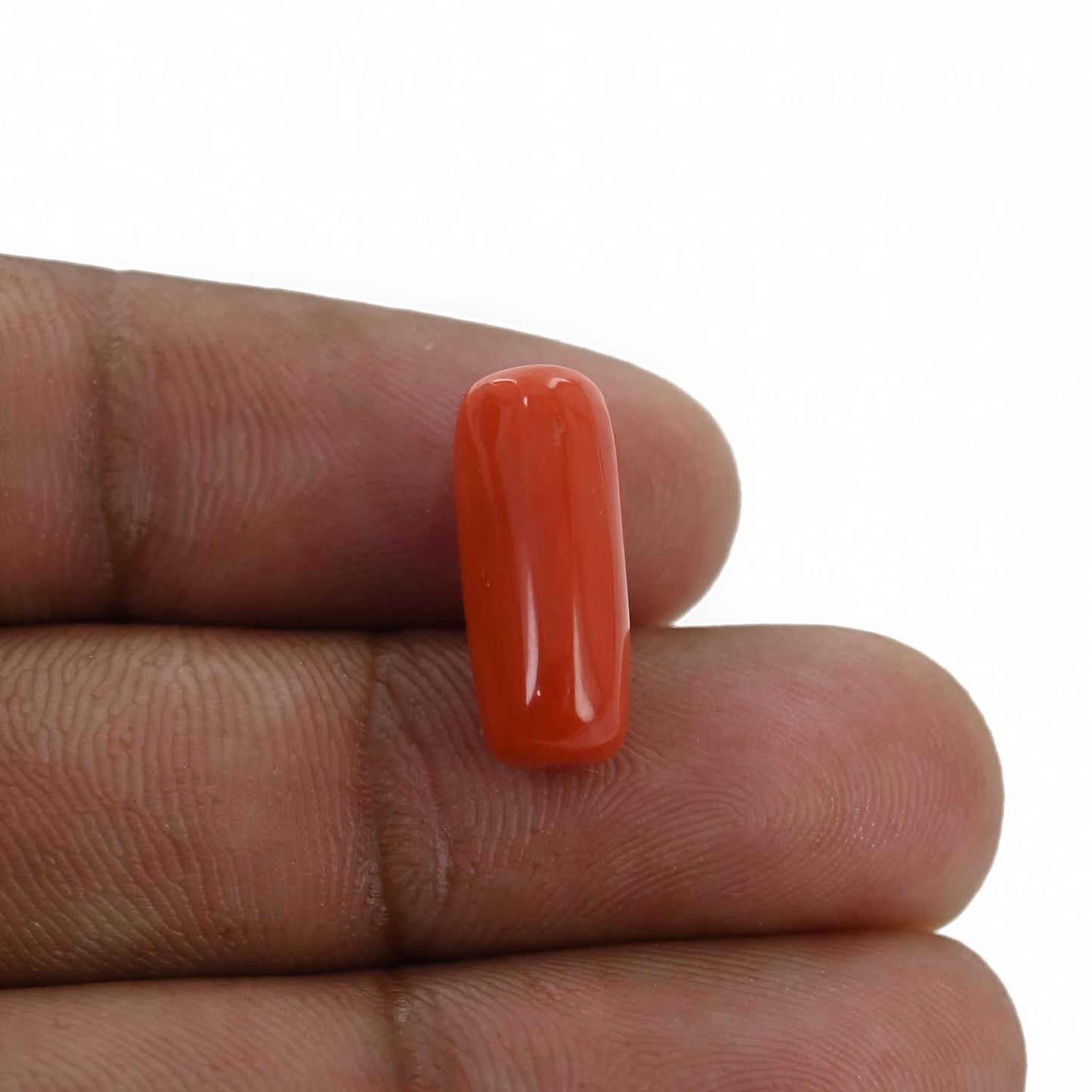 Red Coral (Moonga) - 7.66 Carat