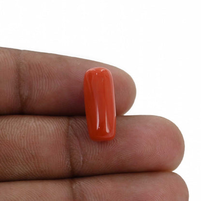 Red Coral (Moonga) - 7.66 Carat