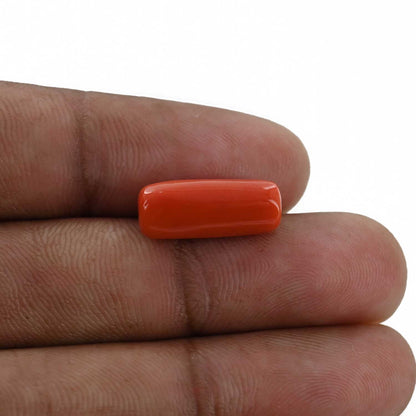 Red Coral (Moonga) - 7.66 Carat