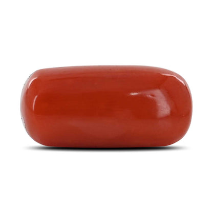 Red Coral (Moonga) - 6.99 Carat