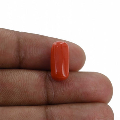 Red Coral (Moonga) - 6.99 Carat