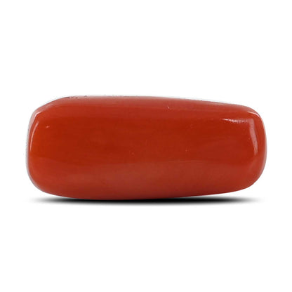 Red Coral (Moonga) - 7.97 Carat