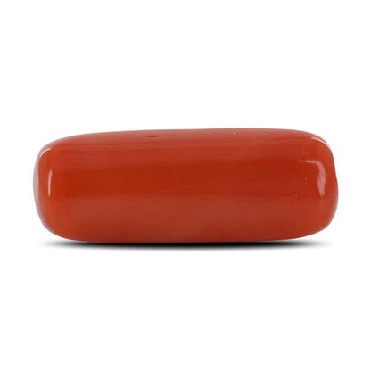 Red Coral (Moonga) - 7.16 Carat