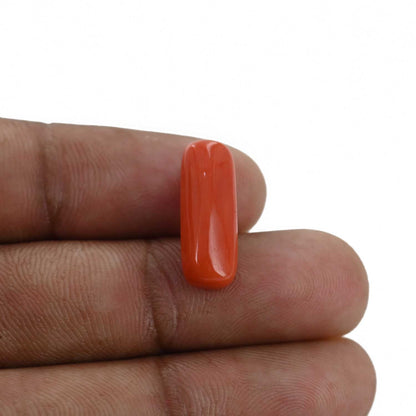Red Coral (Moonga) - 7.16 Carat