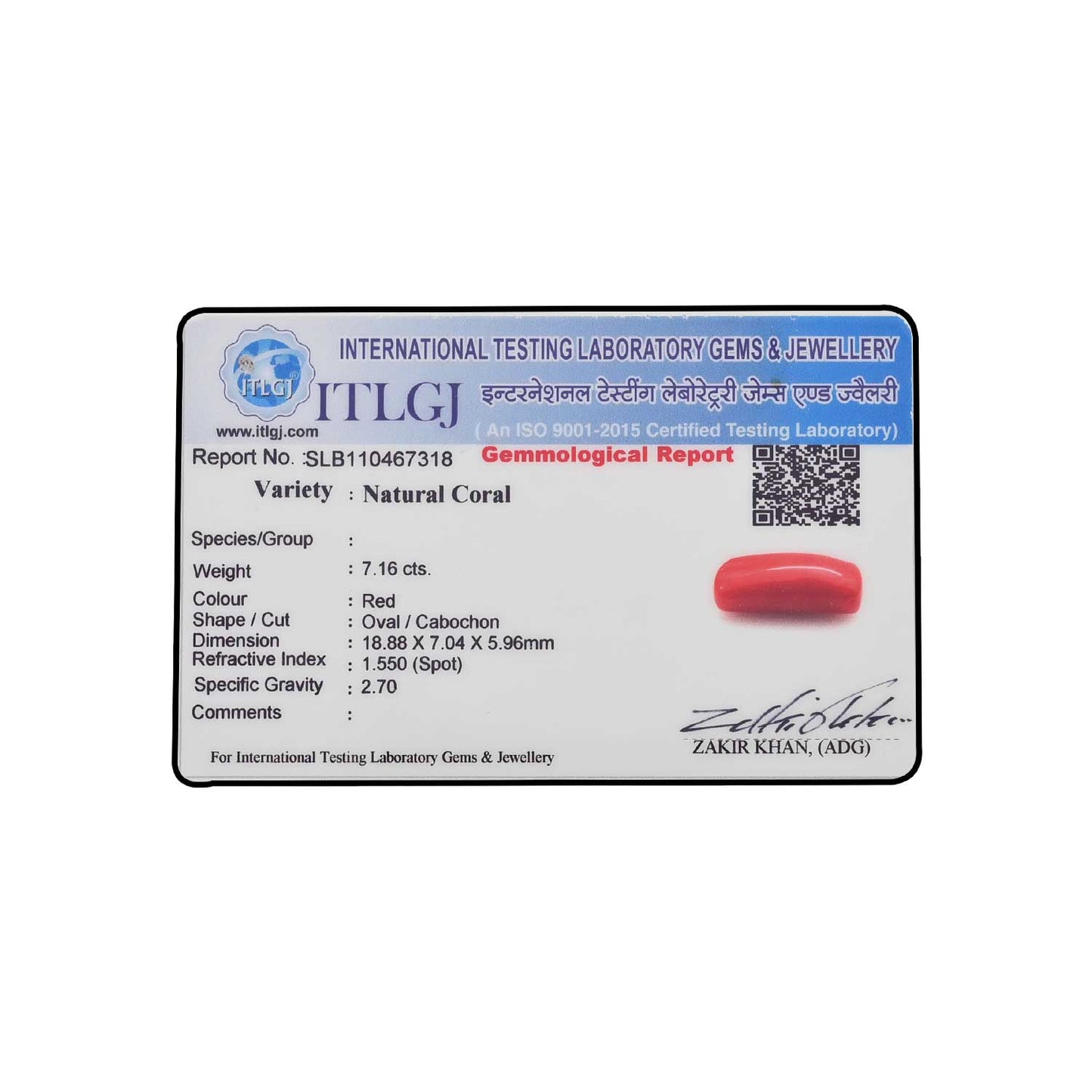 Red Coral (Moonga) - 7.16 Carat