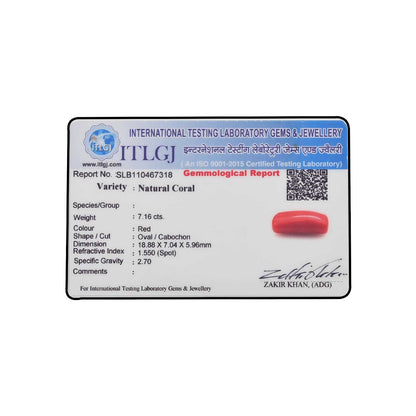 Red Coral (Moonga) - 7.16 Carat