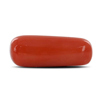Red Coral (Moonga) - 7.94 Carat