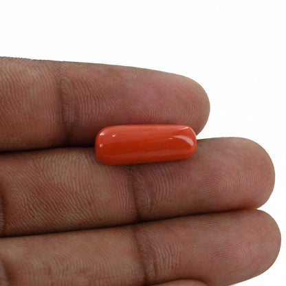 Red Coral (Moonga) - 7.94 Carat