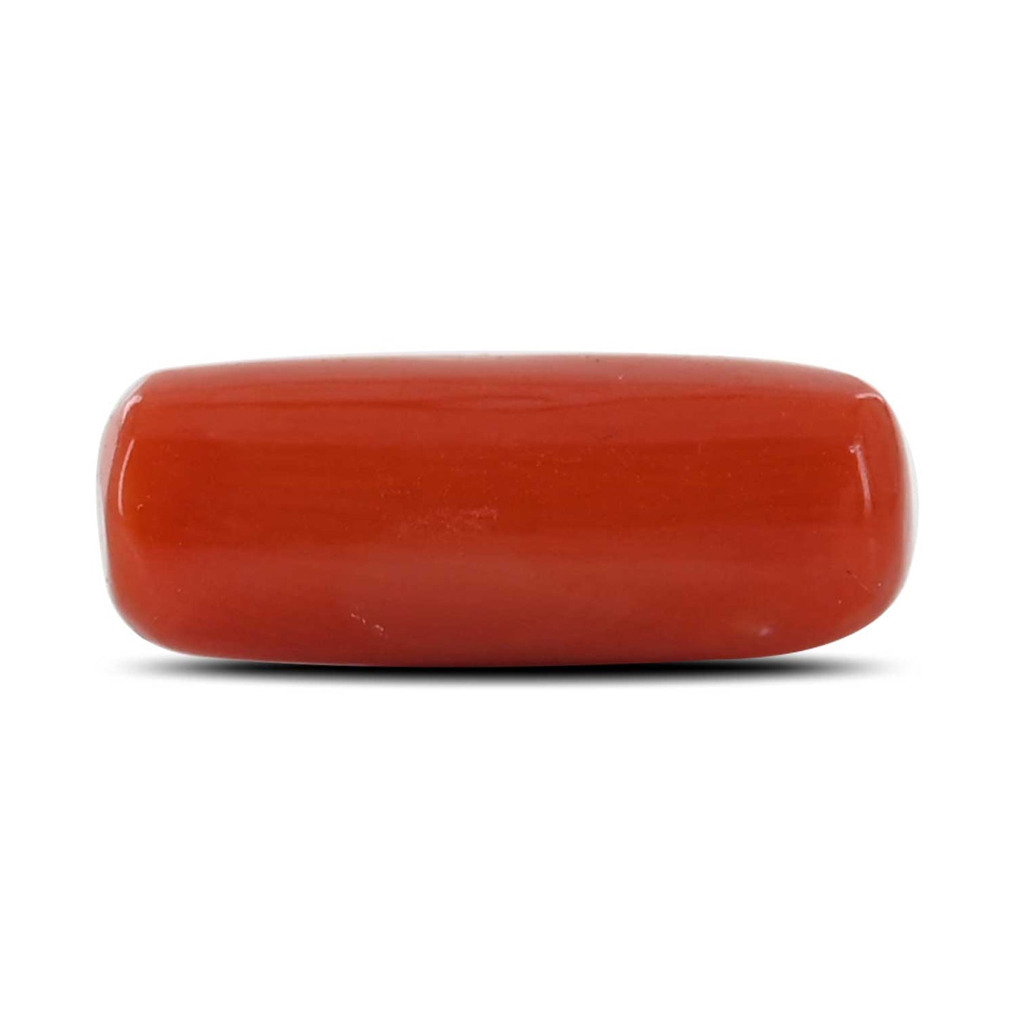 Red Coral (Moonga) - 6.55 Carat