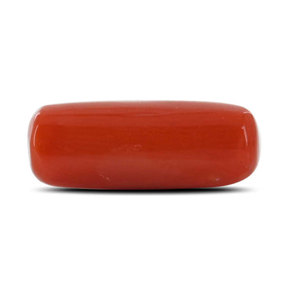 Red Coral (Moonga) - 6.55 Carat