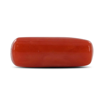 Red Coral (Moonga) - 7.46 Carat