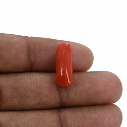 Red Coral (Moonga) - 7.46 Carat