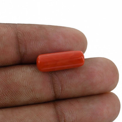 Red Coral (Moonga) - 7.46 Carat