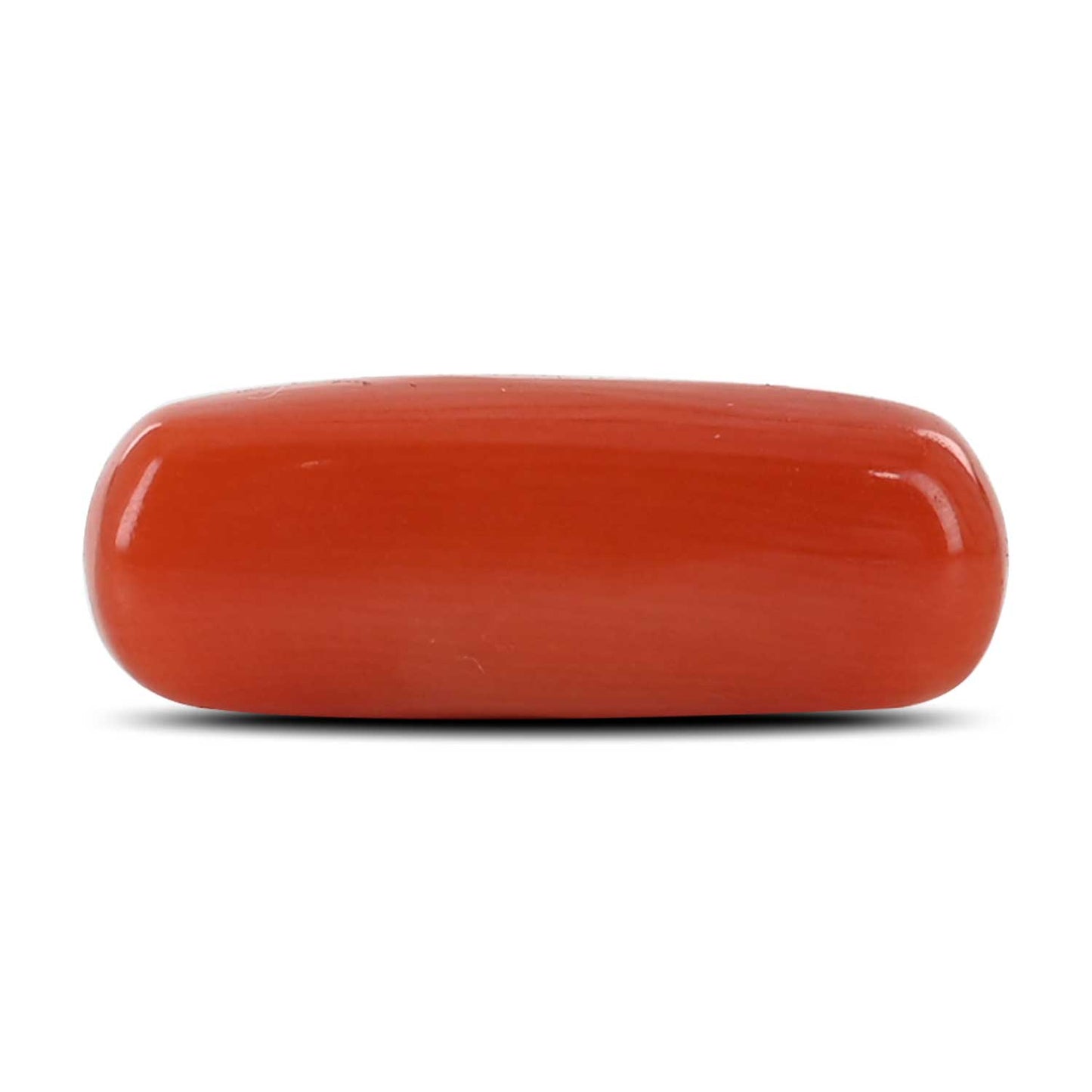 Red Coral (Moonga) - 7.14 Carat