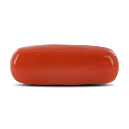 Red Coral (Moonga) - 7.14 Carat