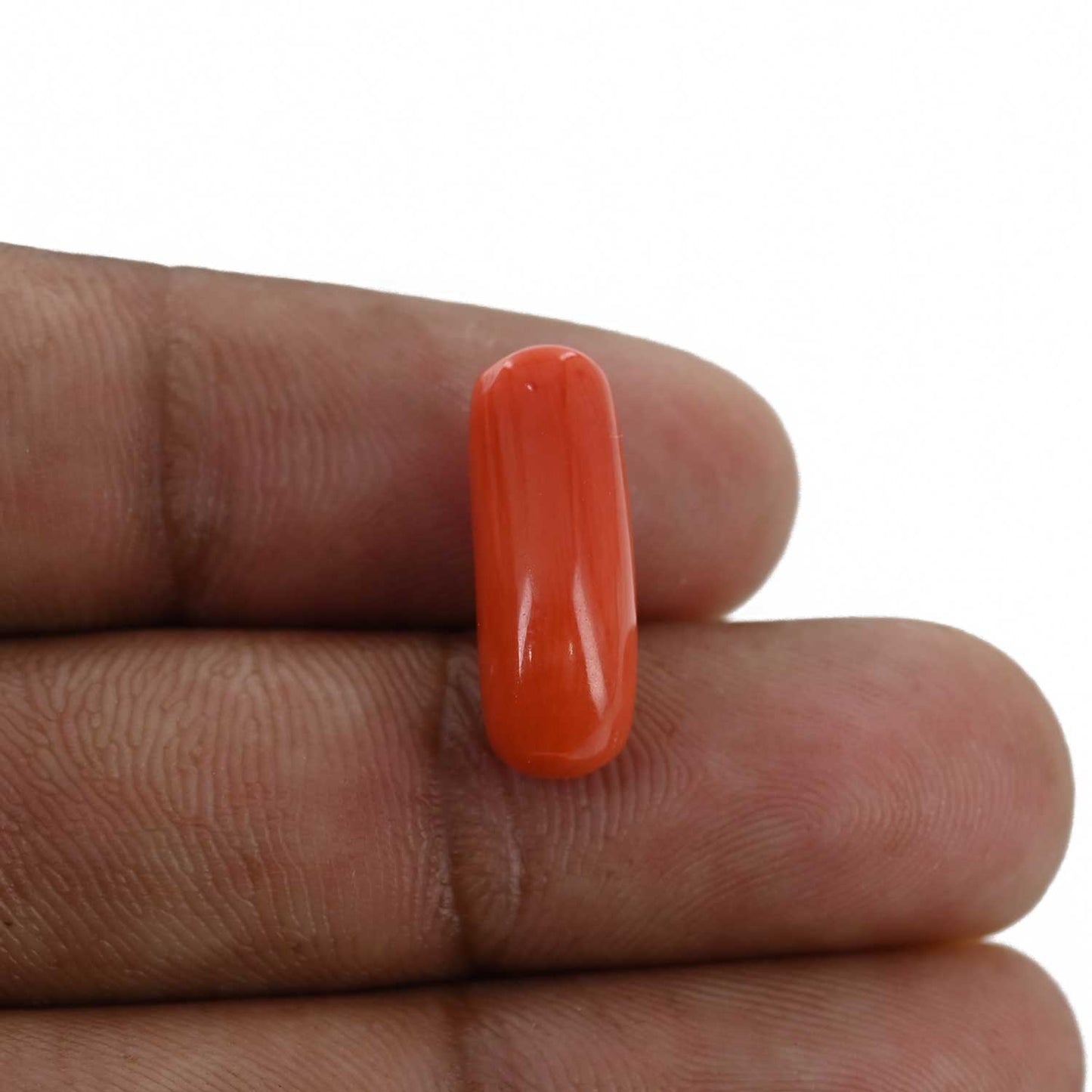 Red Coral (Moonga) - 7.14 Carat