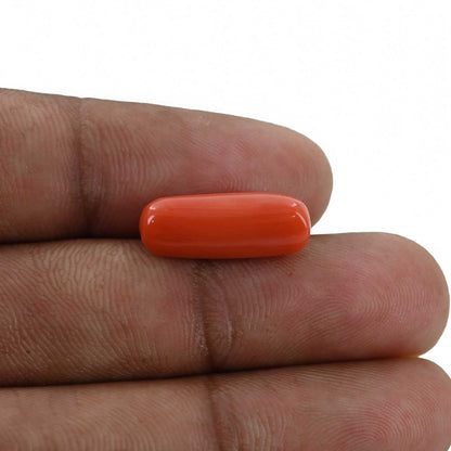 Red Coral (Moonga) - 7.14 Carat