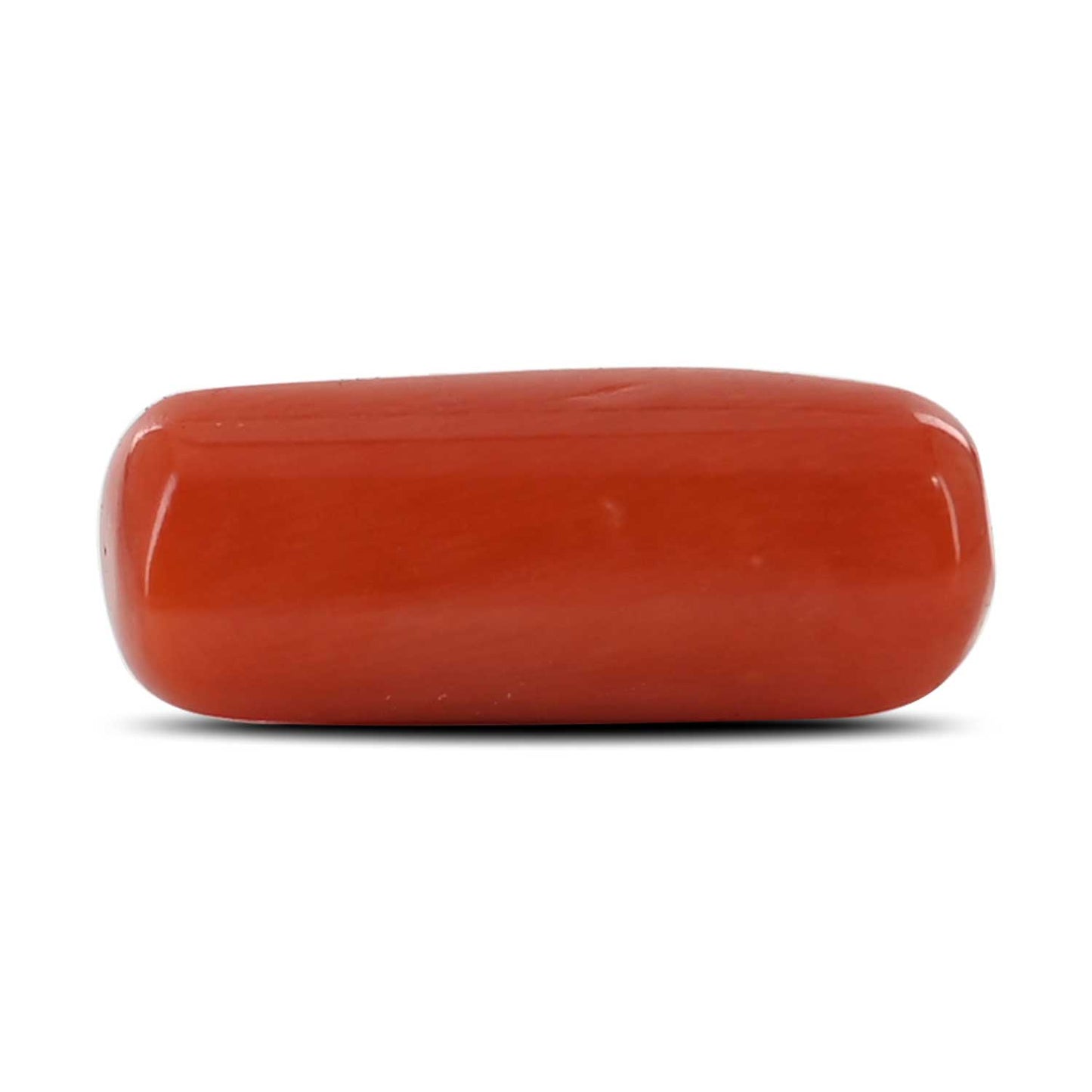 Red Coral (Moonga) - 7.69 Carat