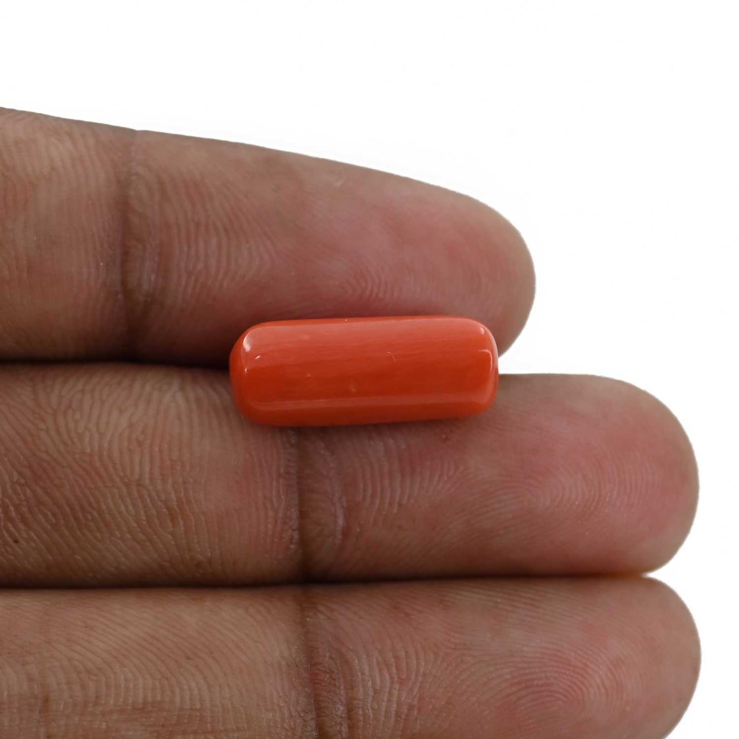 Red Coral (Moonga) - 7.69 Carat