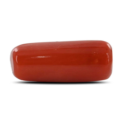 Red Coral (Moonga) - 7.38 Carat