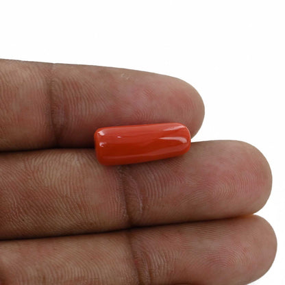 Red Coral (Moonga) - 7.38 Carat