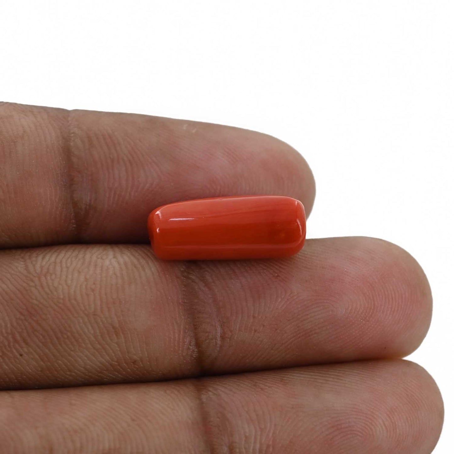 Red Coral (Moonga) - 7.38 Carat