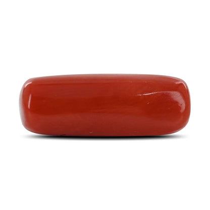 Red Coral (Moonga) - 6.61 Carat