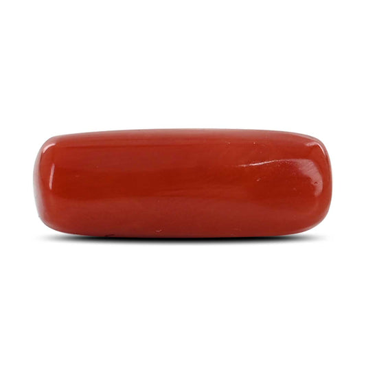 Red Coral (Moonga) - 6.61 Carat