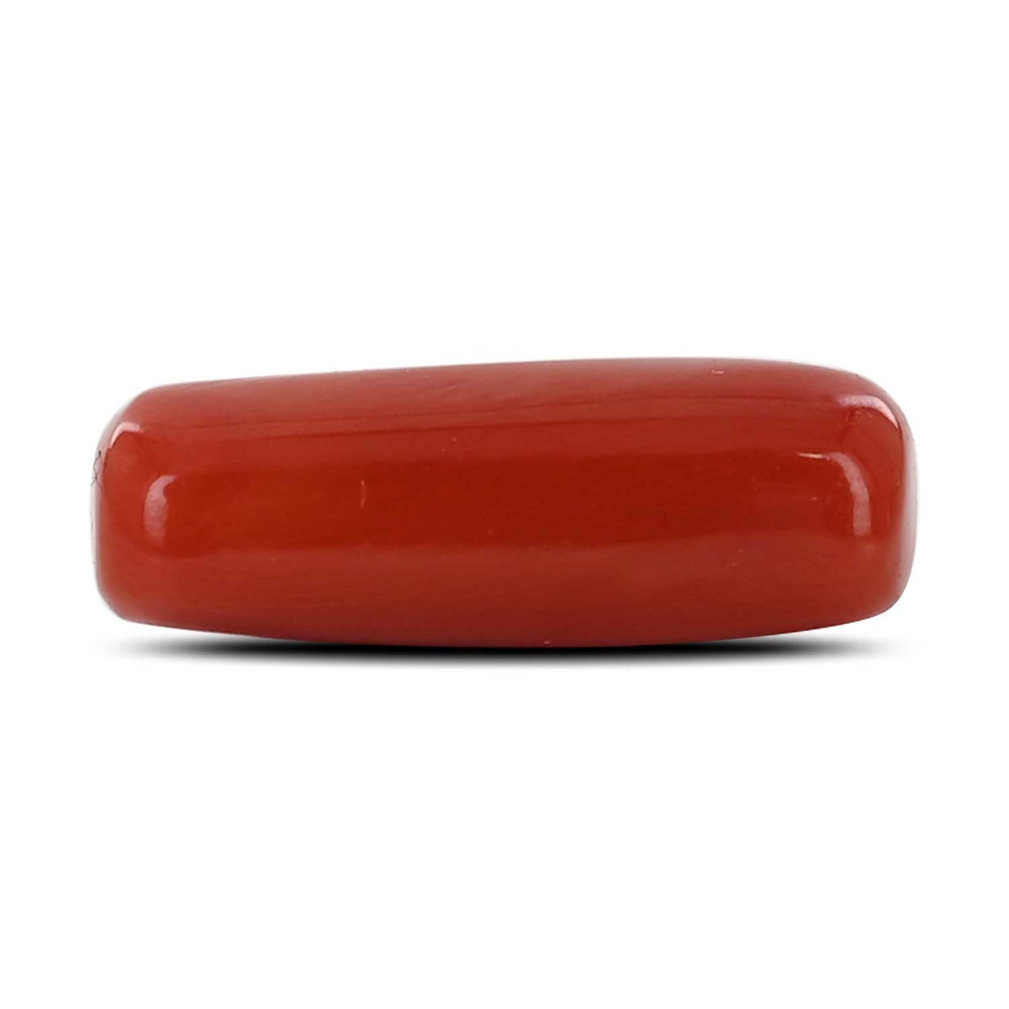 Red Coral (Moonga) - 6.61 Carat