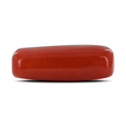 Red Coral (Moonga) - 6.61 Carat