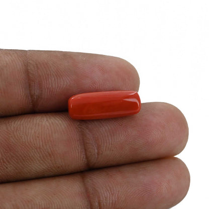 Red Coral (Moonga) - 6.61 Carat