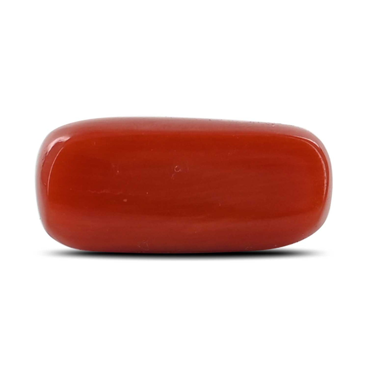 Red Coral (Moonga) - 6.76 Carat