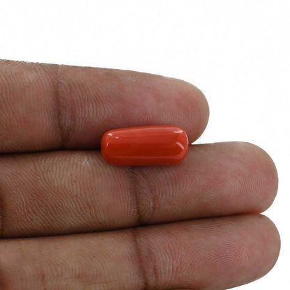 Red Coral (Moonga) - 6.76 Carat