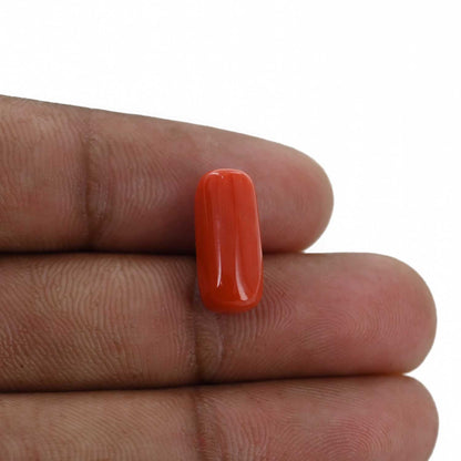 Red Coral (Moonga) - 6.76 Carat
