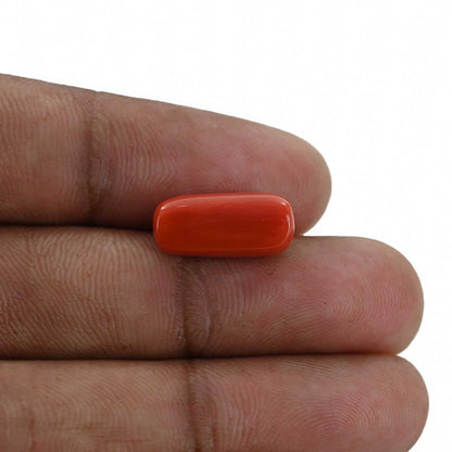 Red Coral (Moonga) - 6.76 Carat