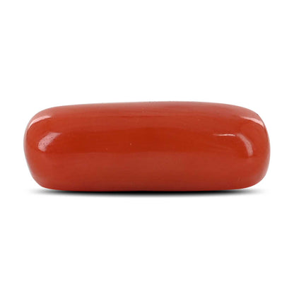 Red Coral (Moonga) - 7.62 Carat