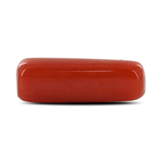 Red Coral (Moonga) - 4.3 Carat