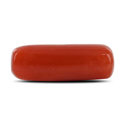 Red Coral (Moonga) - 4.3 Carat