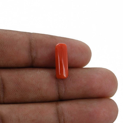 Red Coral (Moonga) - 4.3 Carat
