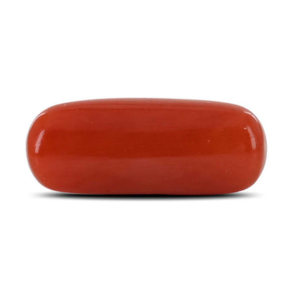 Red Coral (Moonga) - 4.23 Carat