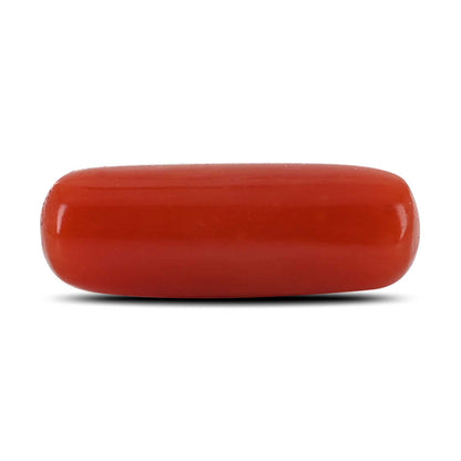 Red Coral (Moonga) - 4.18 Carat