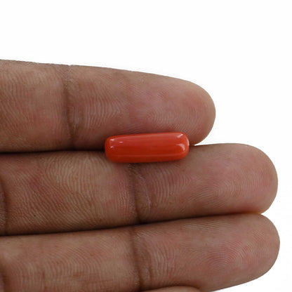 Red Coral (Moonga) - 4.18 Carat